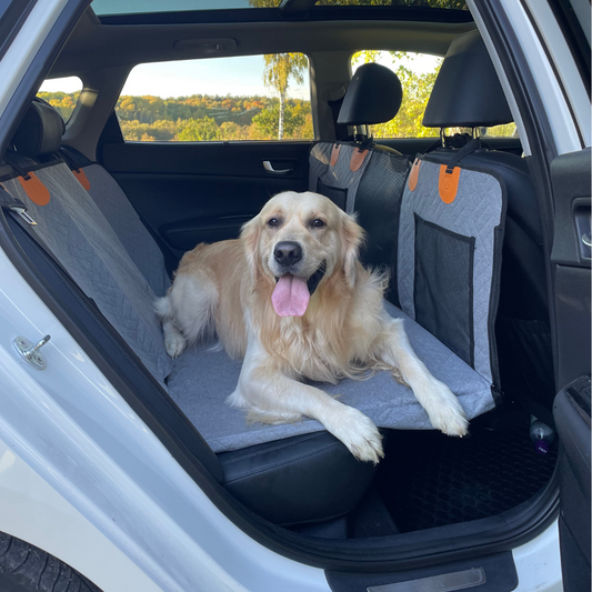 Backseat Extender for Dogs